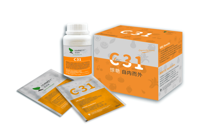 C31